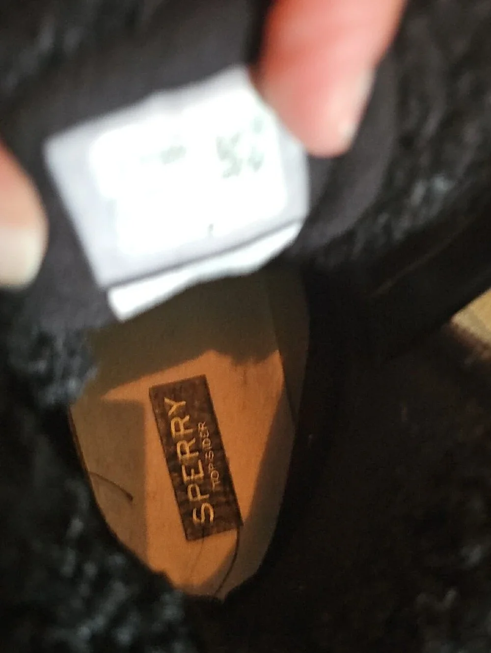 Sperry waterproof shell